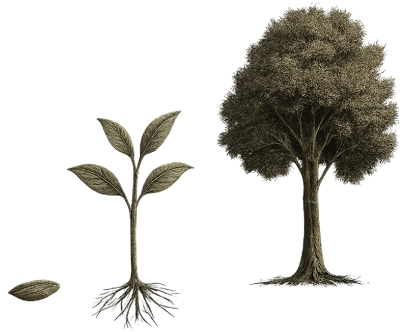 tree image